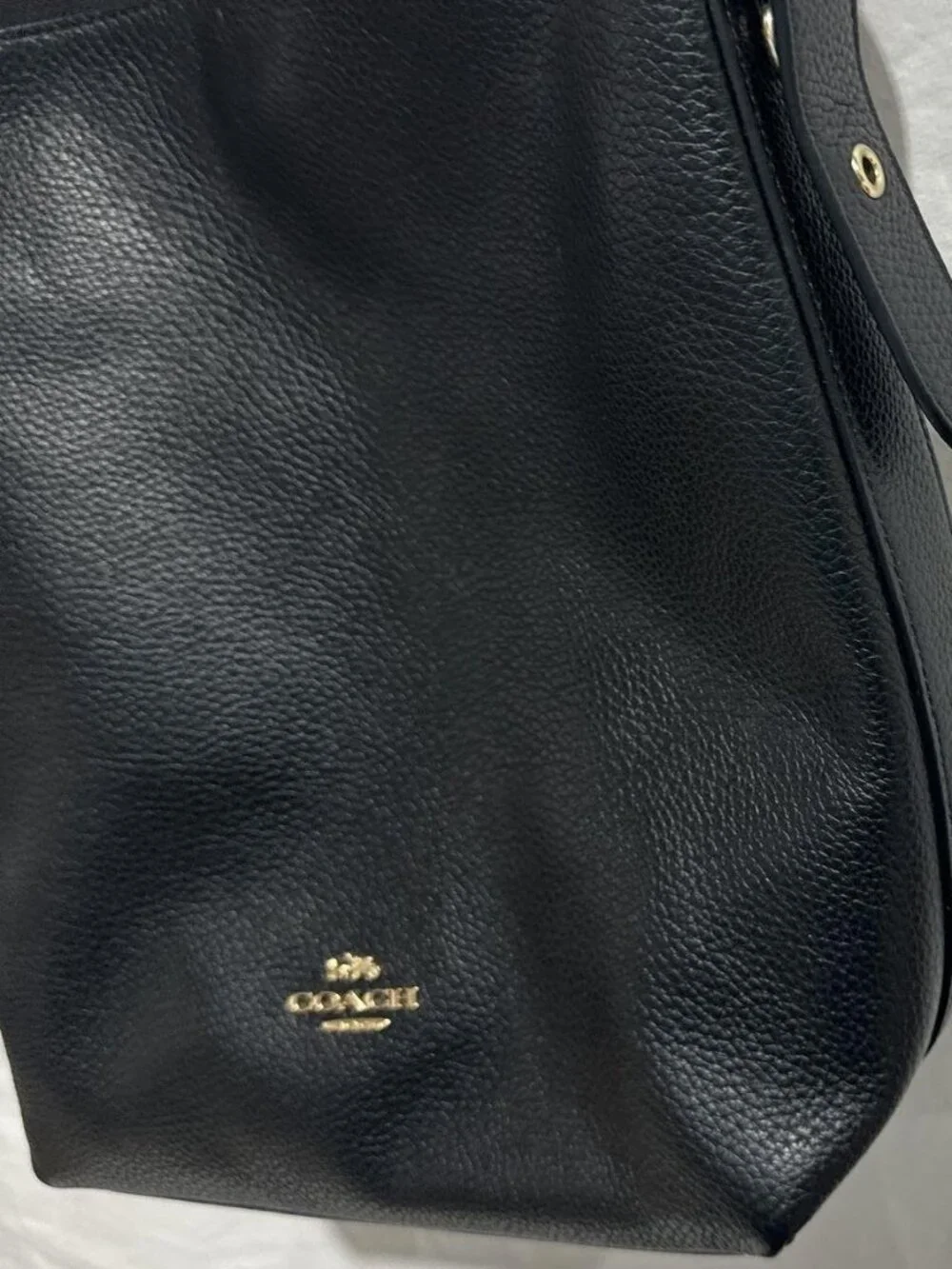 Coach Skylar Hobo Bag